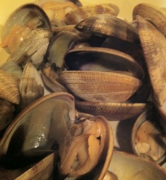 Food Hunter's Guide to Cuisine Clams & Spaghetti