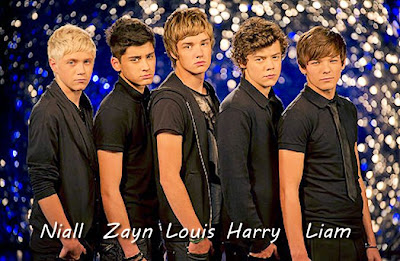 The members of One Direction posing at the UK X-Factor auditions