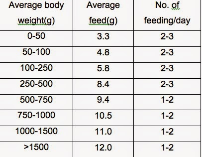 Catfish Feeding Chart