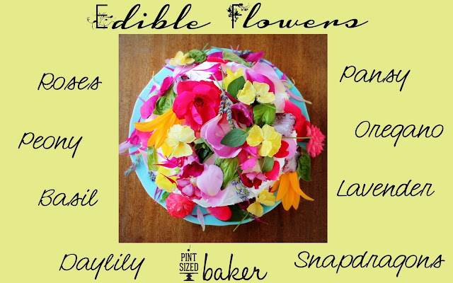 2013 05 26+Home+Depot+Edible+Flower+Cake1