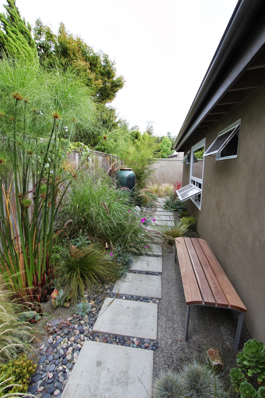 kicking off 2014 with a landscape redo and drought
