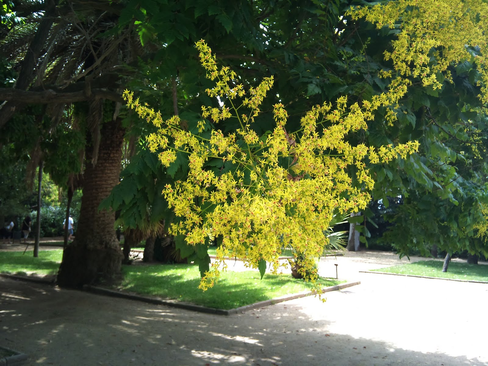 dating femme belfort