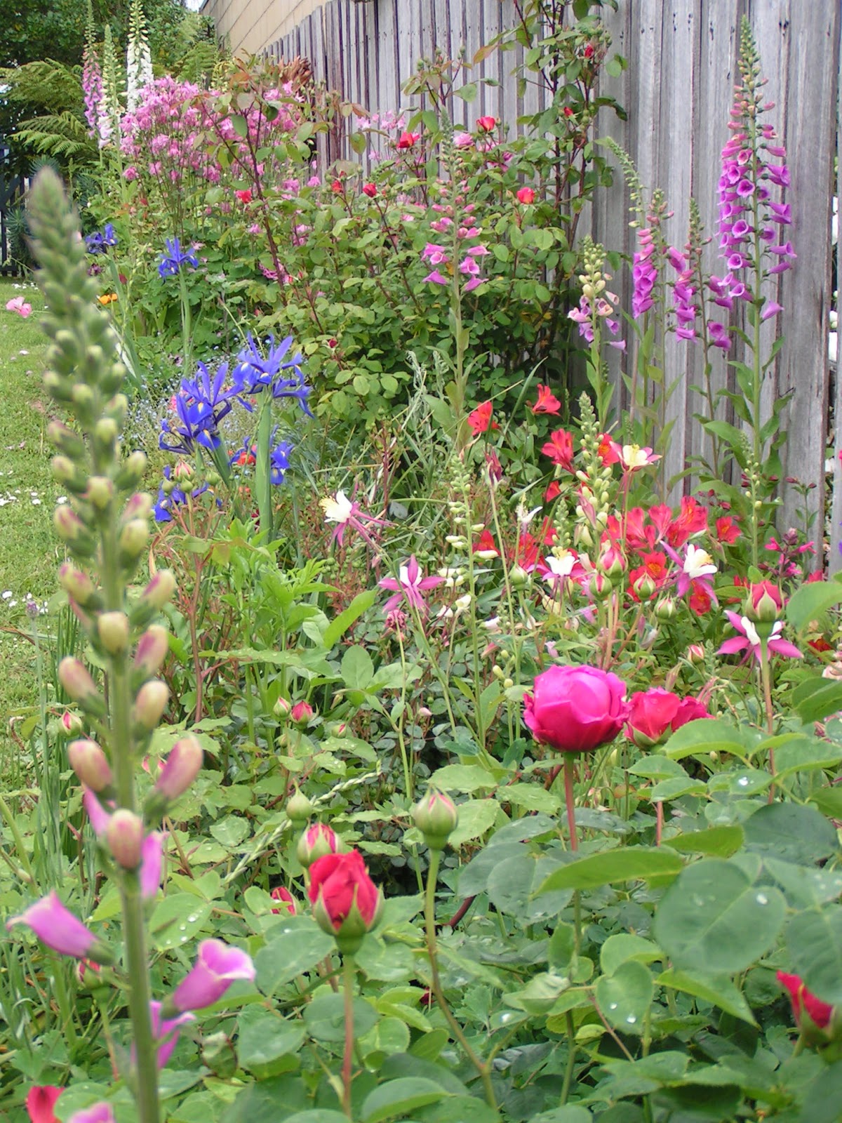 Molly�s Maison Friday flowers&hellip; in the garden