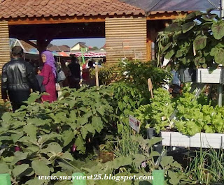 PEKAN FLORI DAN FLORA NASIONAL 2013