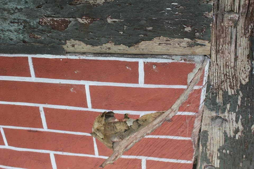 Fachwerk Altbausanierung Fachinformationen Zum Thema Altbau Und