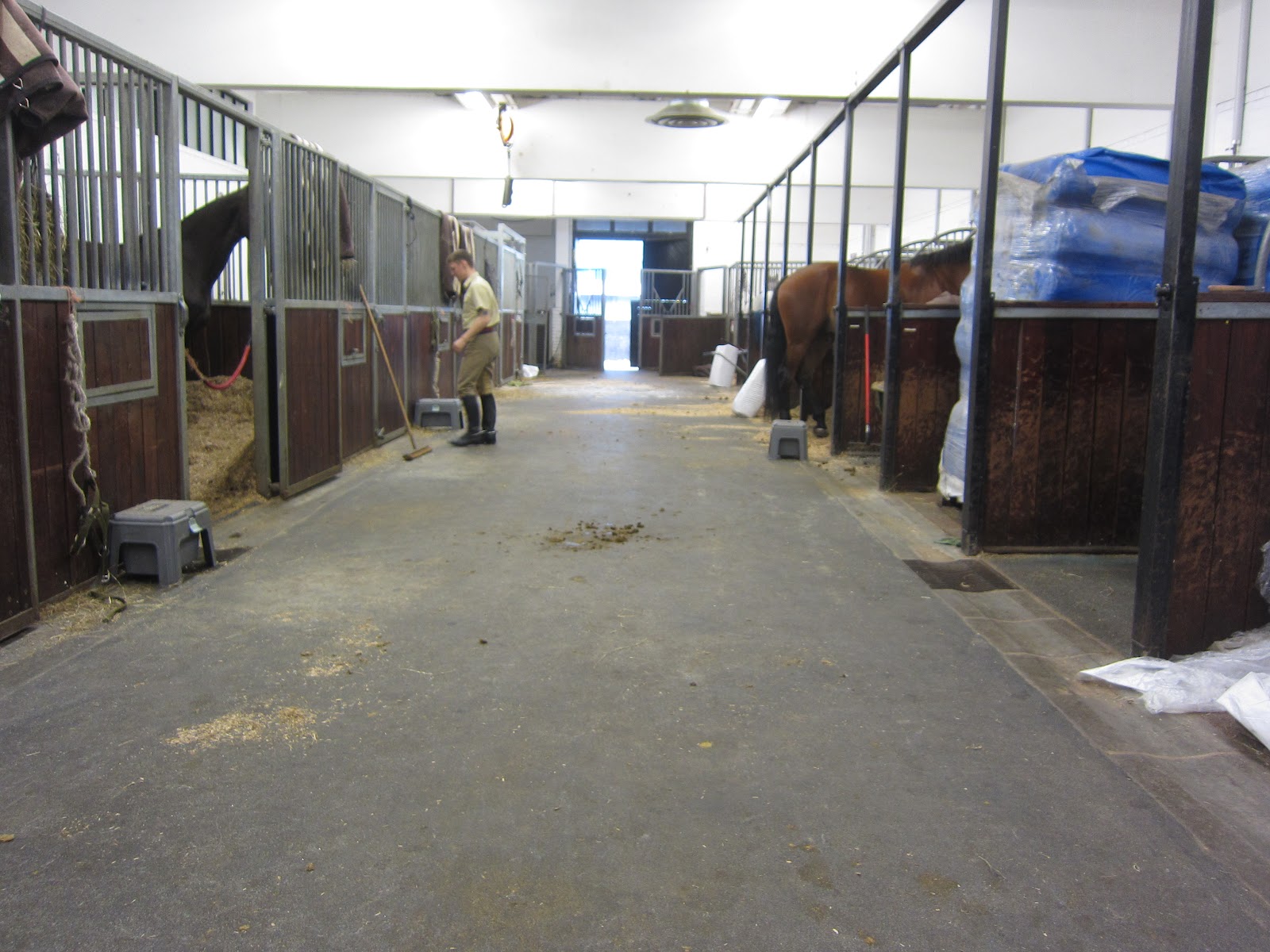 AFA Cultural Exchange Trip 2012 The Household Cavalry and the King's Troop