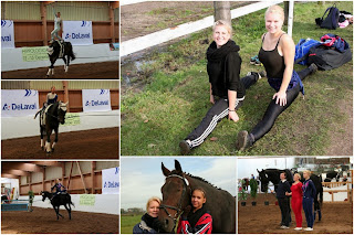 Erfolgreicher Saisonabschluss des Reit- und Fahrverein Hubertus Zepernick 2 Bernau LIVE - Dein Stadtmagazin für Bernau bei Berlin