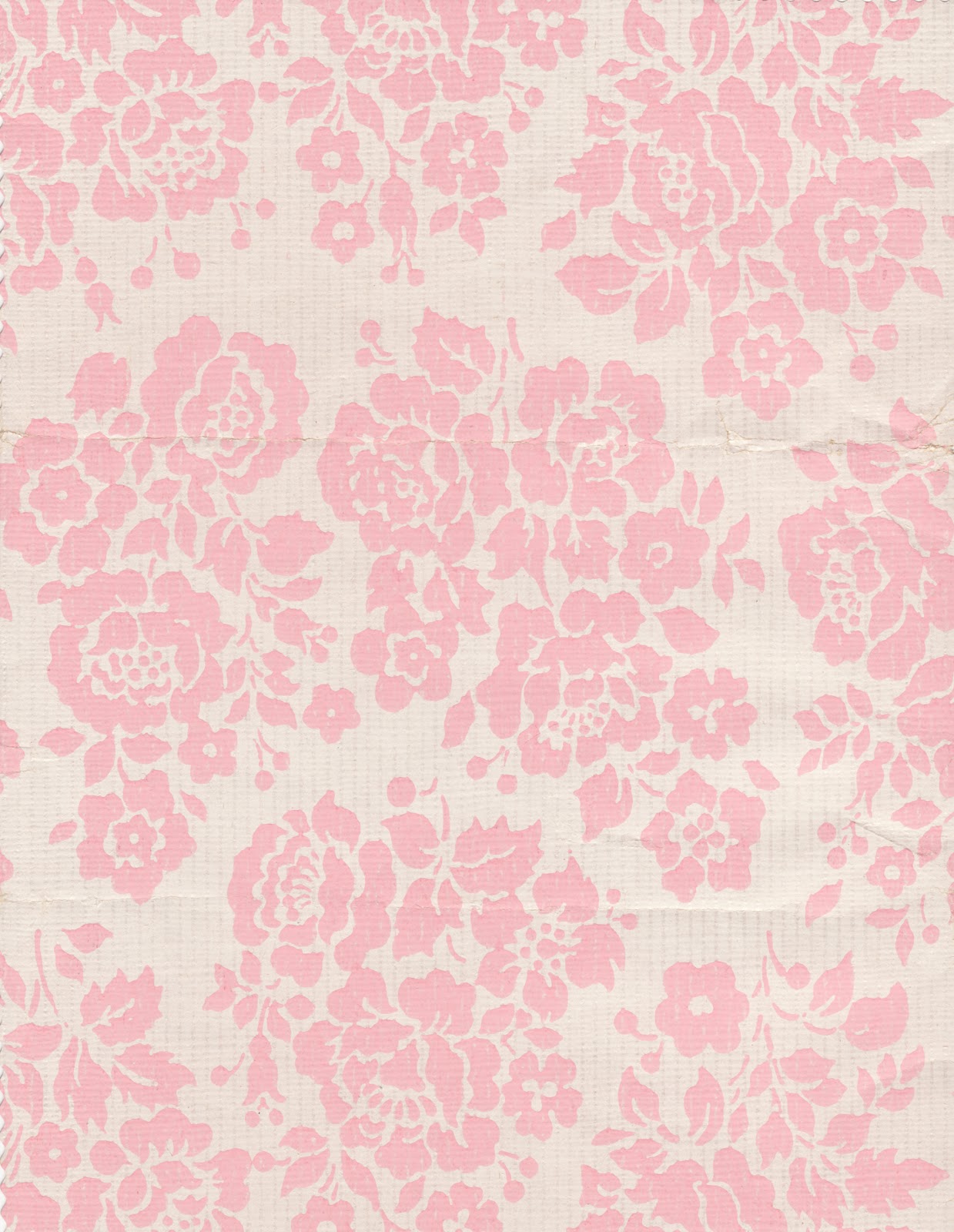 pink monkey editing