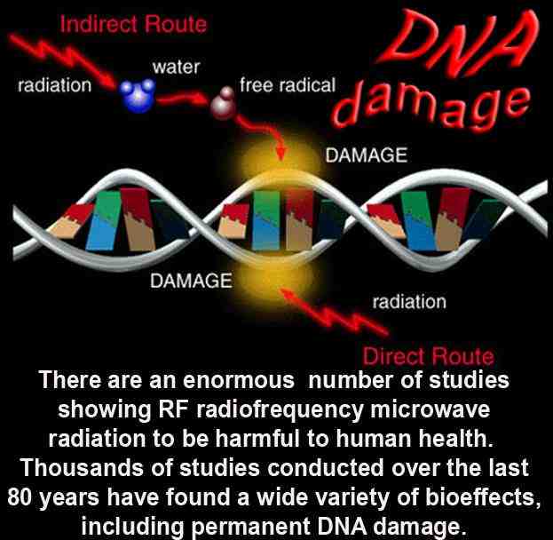 Parents for Safe Schools November 2015