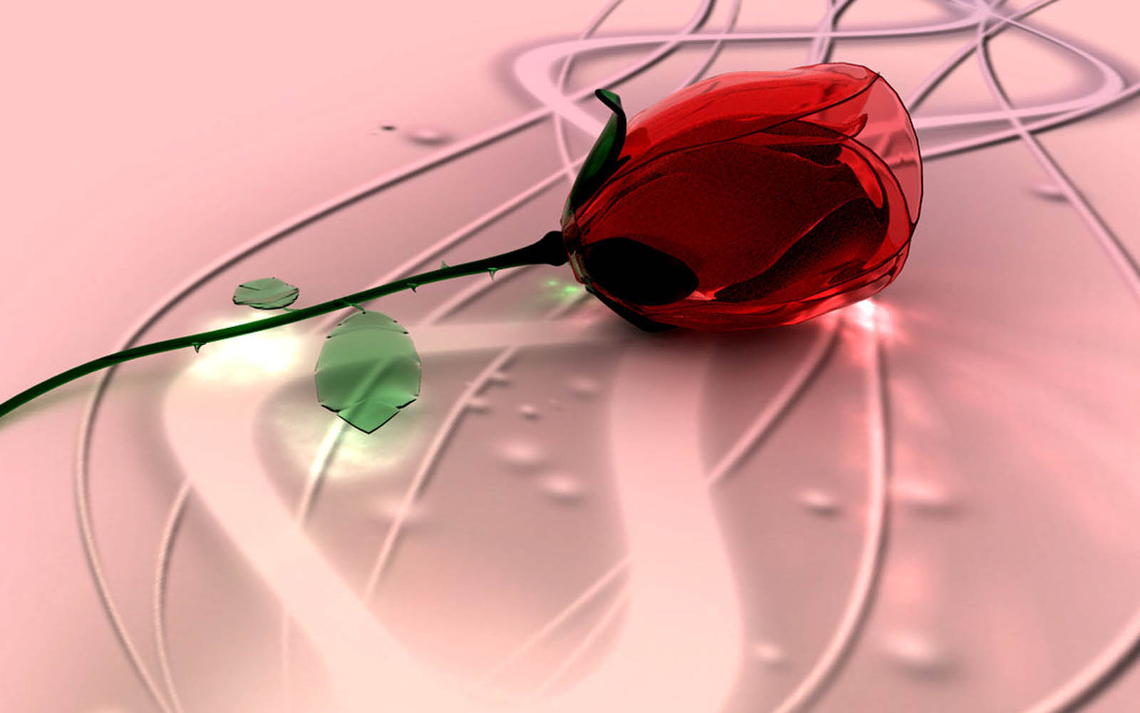 Rose In Glass | wallpapers glass rose wallpapers Rose In Glass | wallpapers glass rose wallpapers