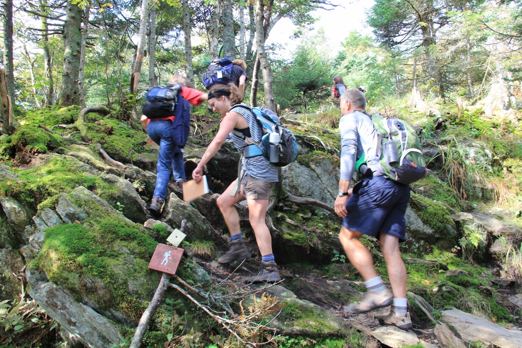 Hiking Trails of Montréal Trail List