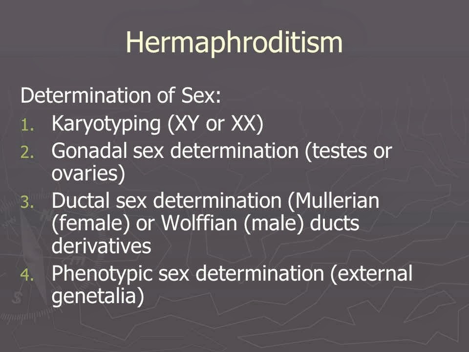 Slide 51
