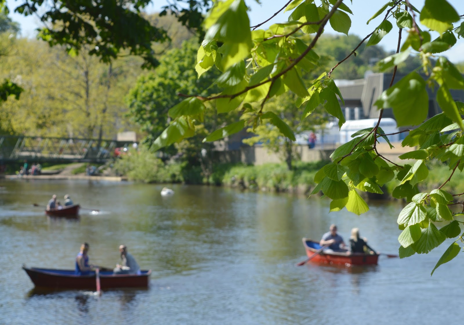 The best picnic spots in Northumberland North East Family Fun