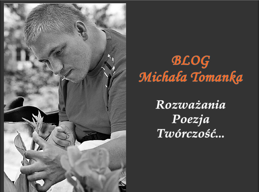 Blog Michała Tomanka