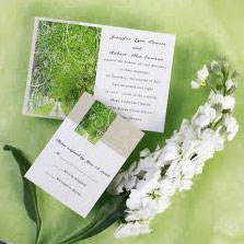 Green Invitations