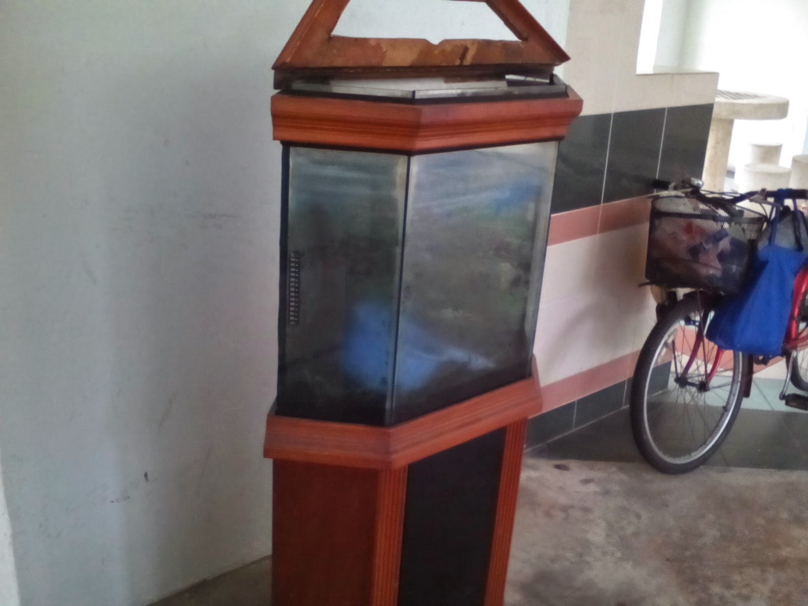 Tropical Fisher Man Fish Tanks And Aquarium CRS Five sided aqaurium
