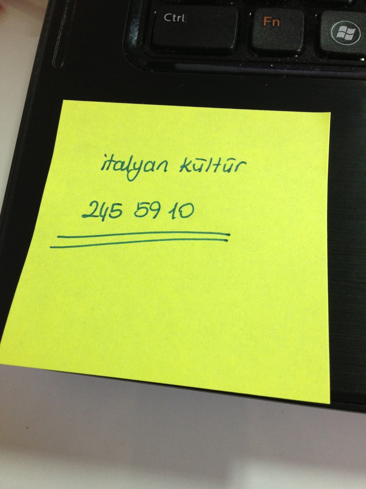 muzurella Ağustos 2013