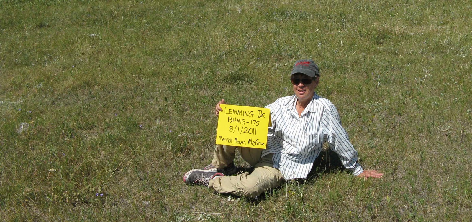 In The Company Of Plants And Rocks Passing Ecological Judgement