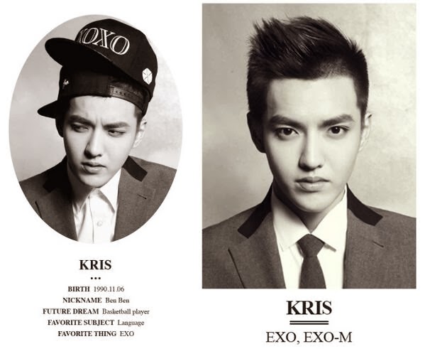 Mister Kpop Profil dan Biodata EXO