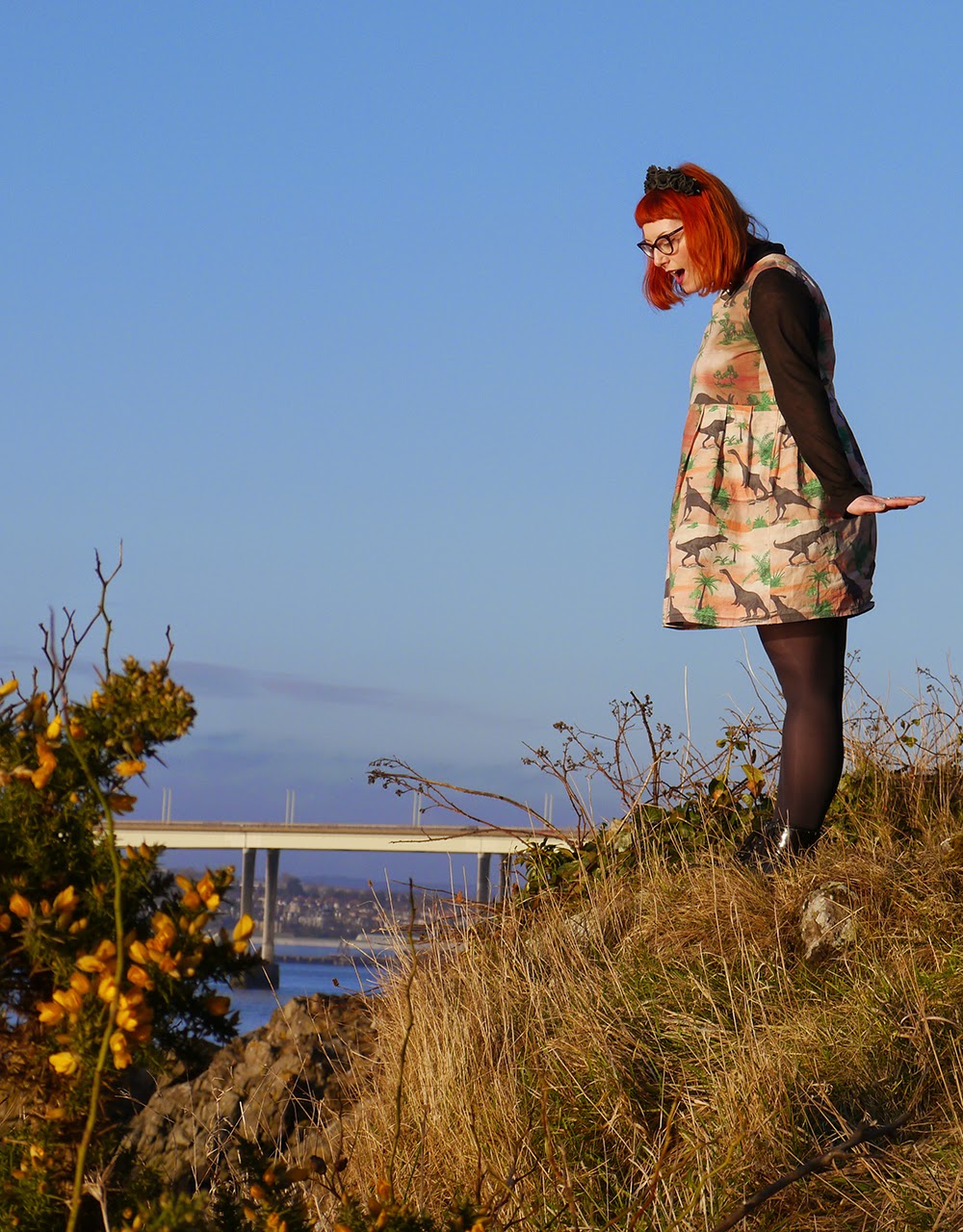 What Helen Wore, Valentine's Day, Adventures, Scottish Blogger, Crown and Glory Black Flower Headband, Bonnie Bling Scottish Sland Necklace, Vintage Style Me Dinosaur Dress, H and M Shirt
