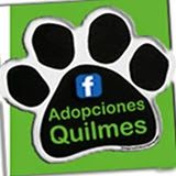 Adopciones Quilmes