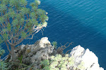 L'Isola di Dino dal sito www.isoladino