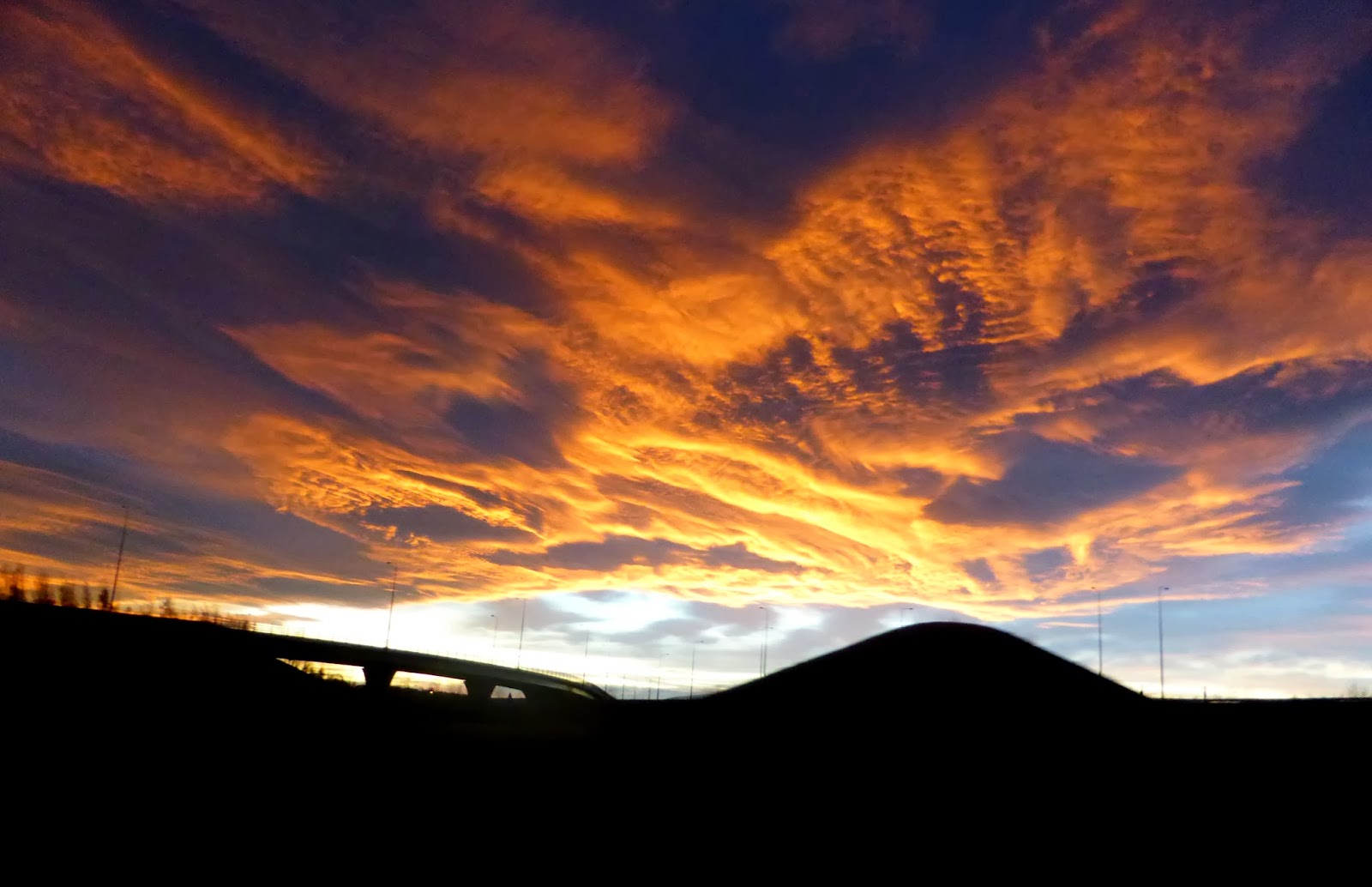 New Girl in Toon December 2013