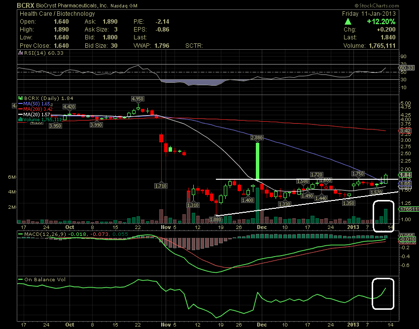 Bcrx stock options