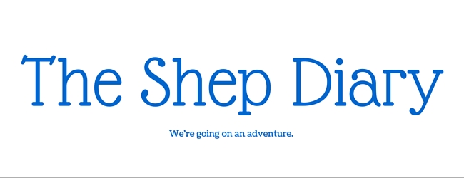 The Shep Diary