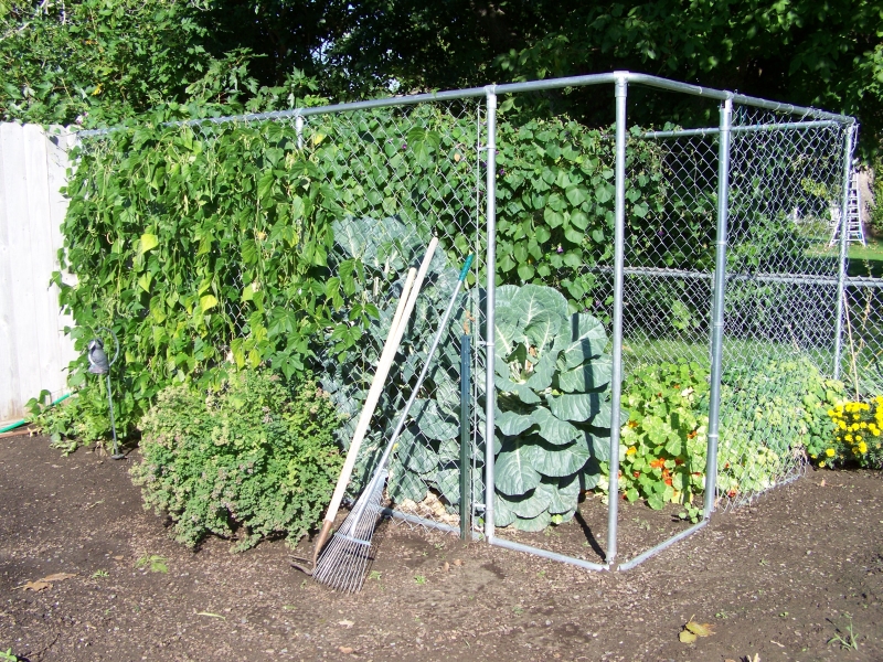 Annie�s Kitchen Garden September 2012