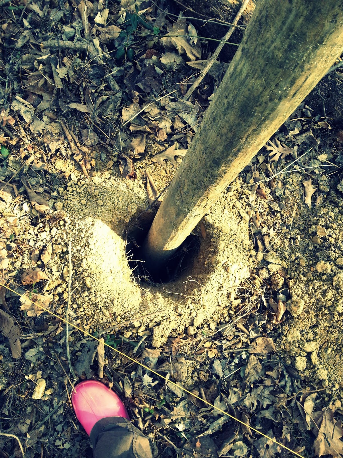 Homesteading the Fence School House Oils