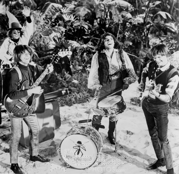 The Mosquitoes From Gilligan S Island The Mosquitoes From Gilligan S Island
