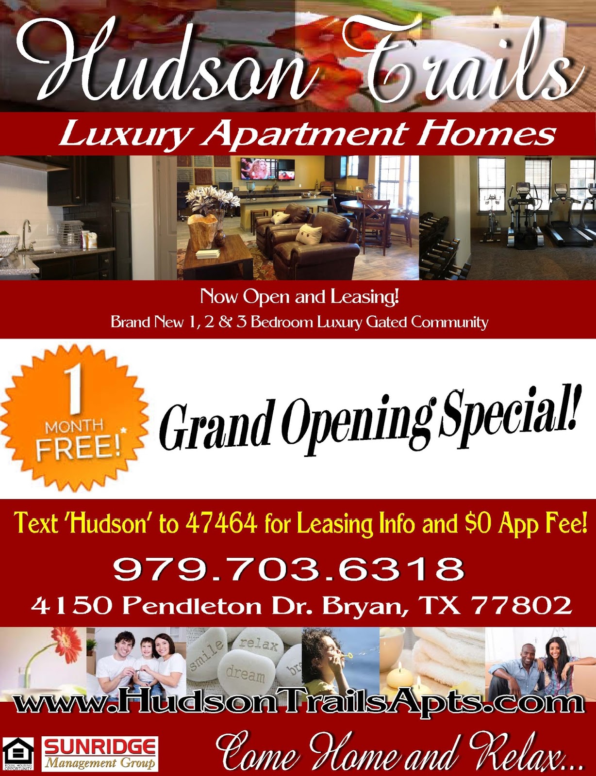 apartment flyer ideas