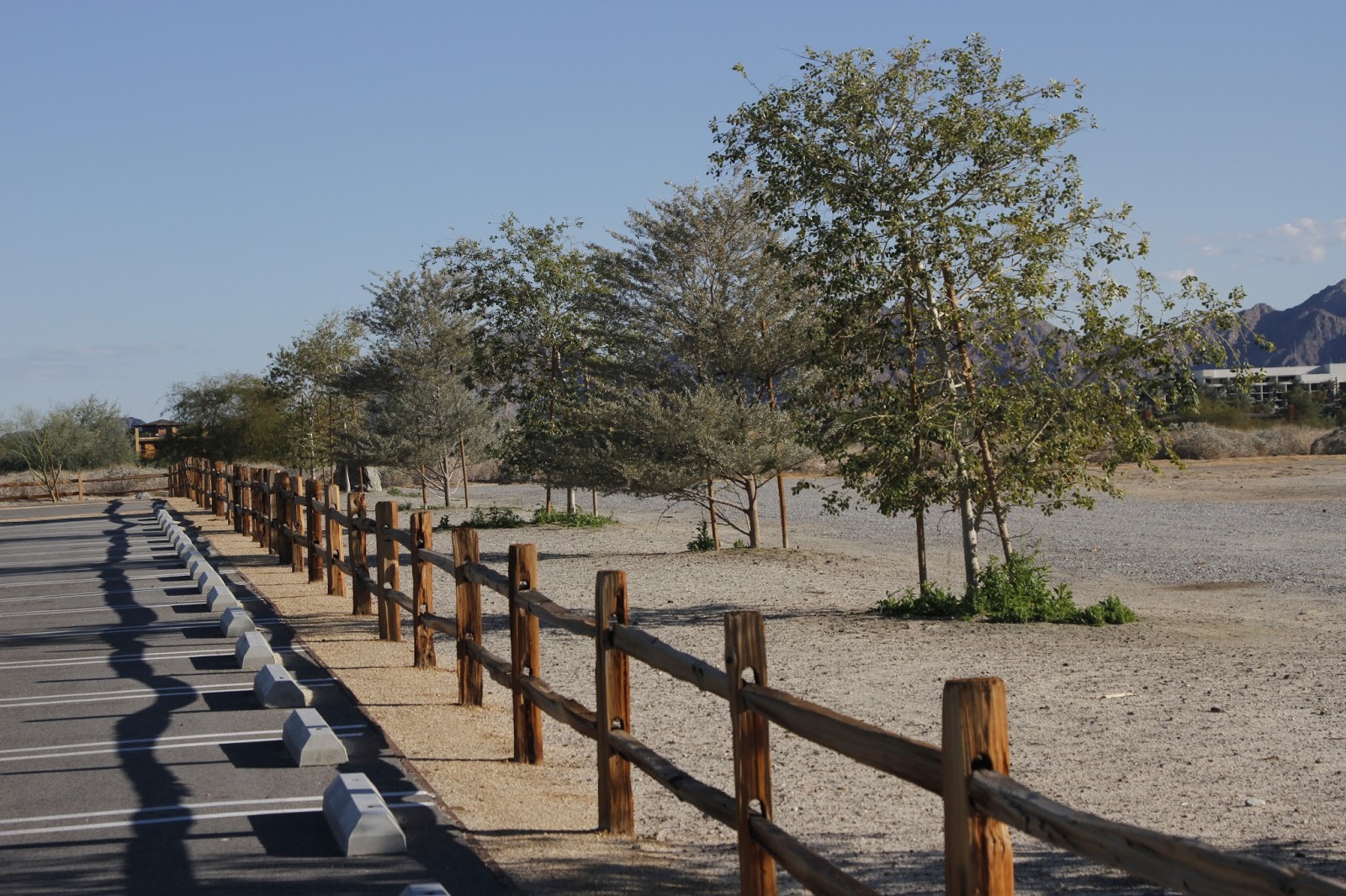 Deserts and Beyond: Parking lot fence~Friday's Fences~022213