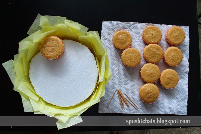 Spusht Chats Cupcake Flower Basket / Cupcake Bouquet