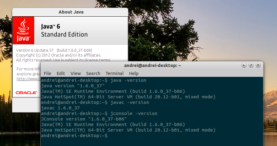 [ubuntu] Installing jdk in ubuntu 12.04.