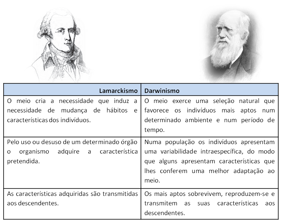 63 venn diagram lamarck vs darwin darwin venn vs lamarck diagram lamarck vs darwin venn diagram