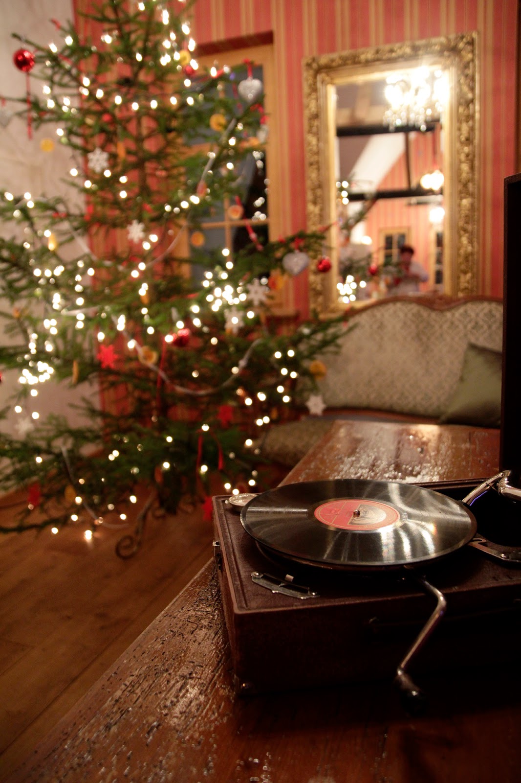 Gwiazdka w Puszczy - Ania w Podróży