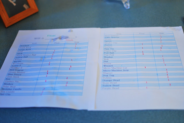 My Shadow In Time: Sink or Float: A fun preschool learning activity