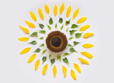 slide 292220 2342398 free