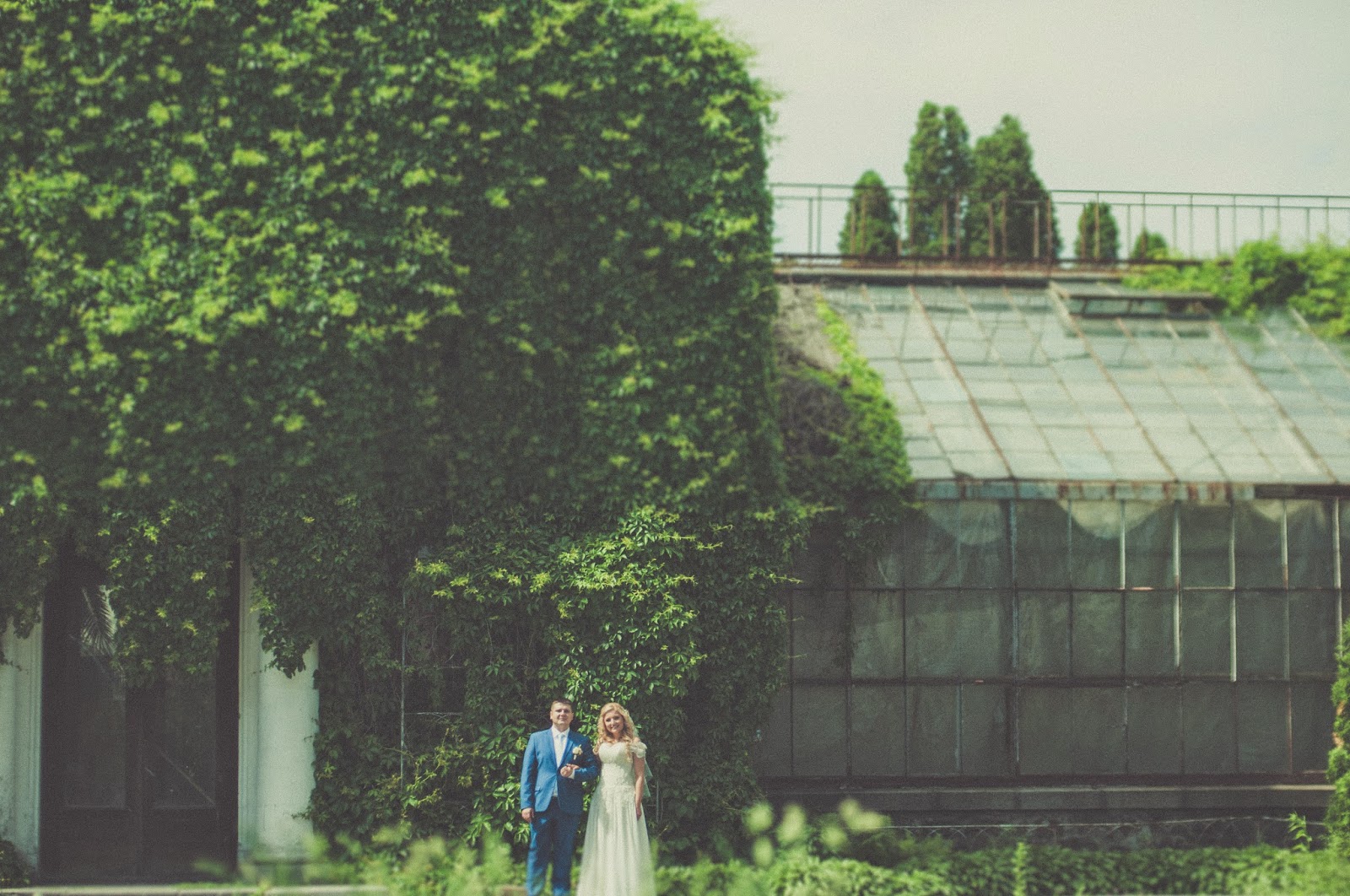 Свадебная фотосессия Кати и Коли_14 свадебный фотограф в Киеве,свадебная фотосессия, летняя фотосессия