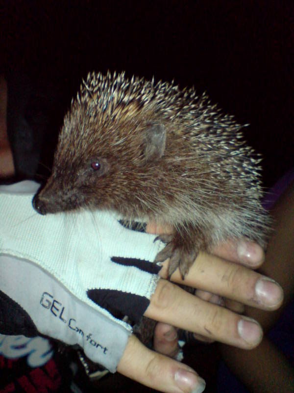 Зображення