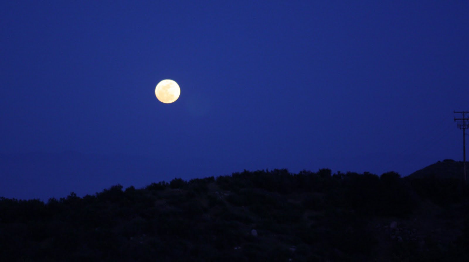 Elderberry Street: Good Night Moon