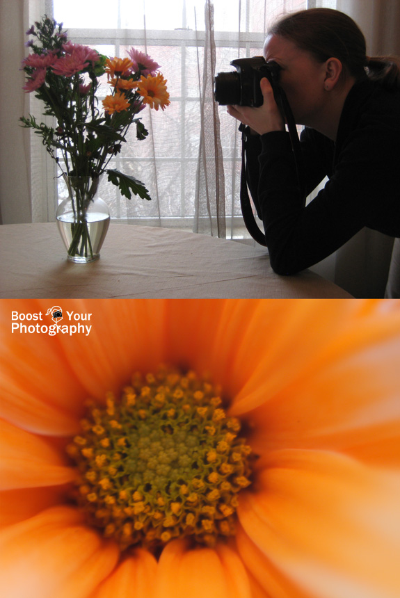 The Diptych double the power of your photograph Boost Your Photography