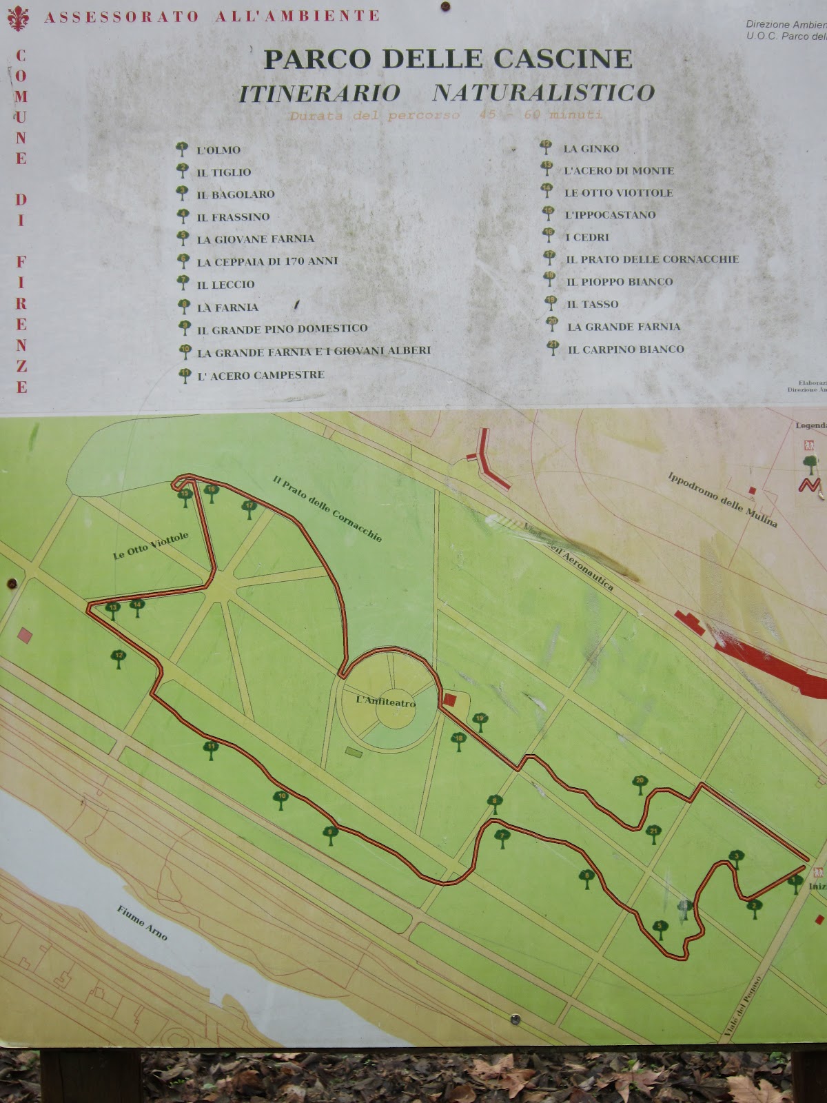 Un Cuore Scalzo My Adventures In Italy Parco Delle Cascine