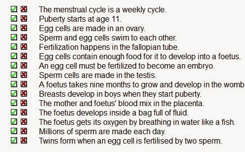 Reproductive system revision questionary