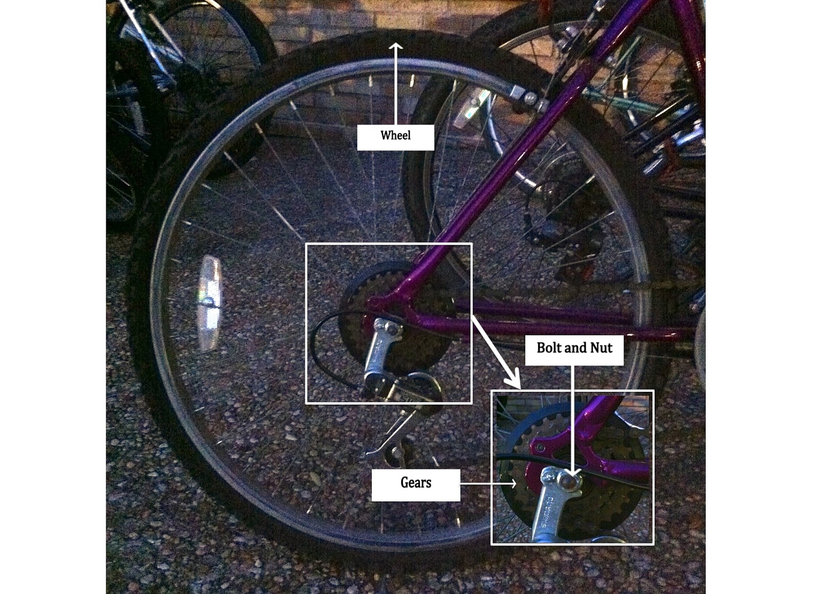 How Things Work Bicycle (Wheel, Bolt and Nut, Gears)