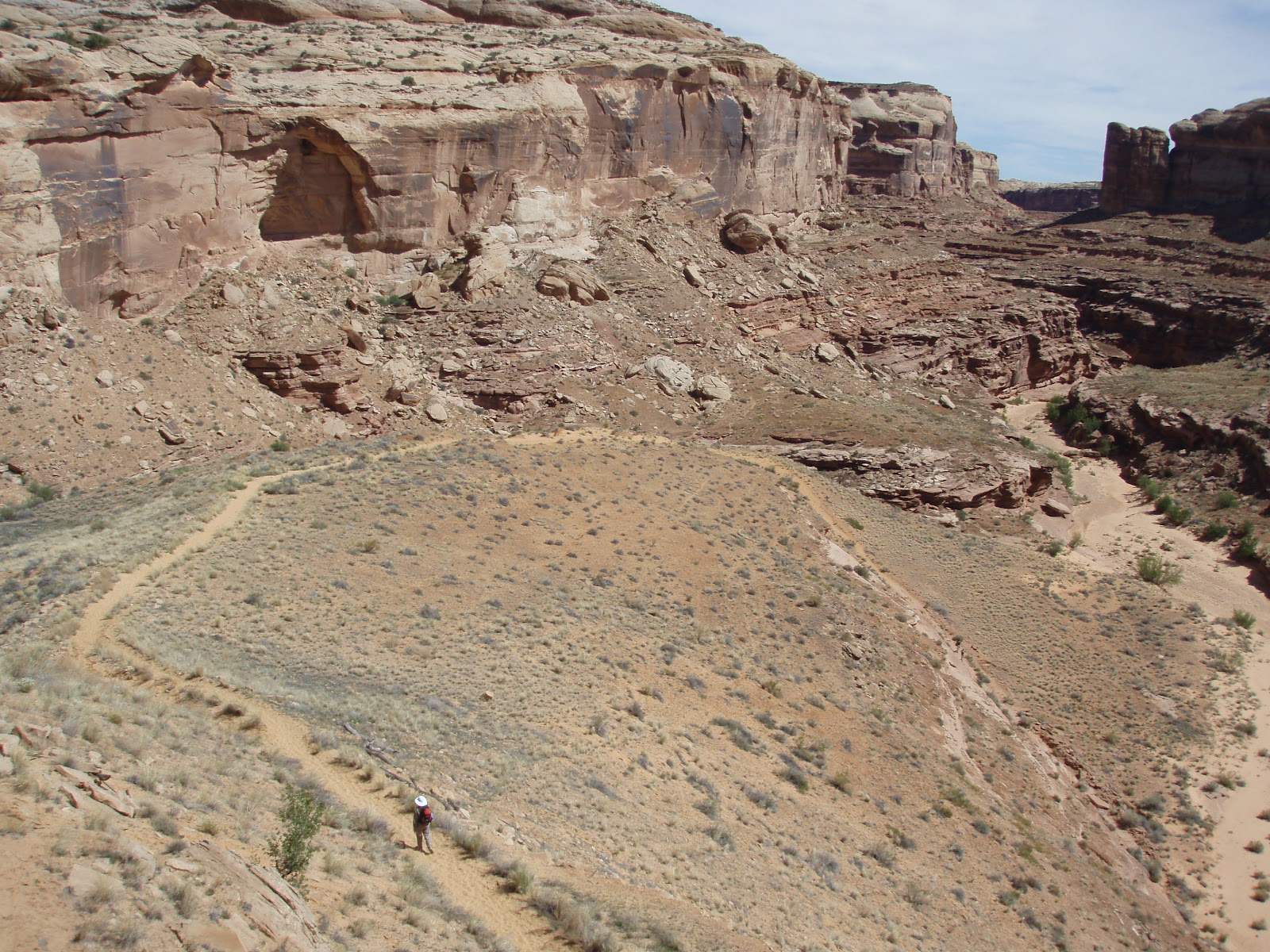 One Day in America The Great Gallery in Horseshoe Canyon, Canyonlands National Park, Utah