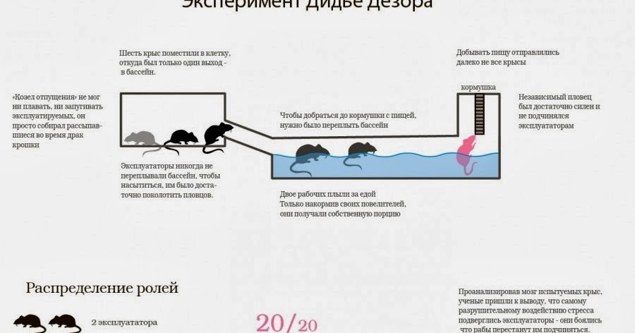 Извращенцы никогда не отвергают эксперименты с долгое уссывание и прочими забавами