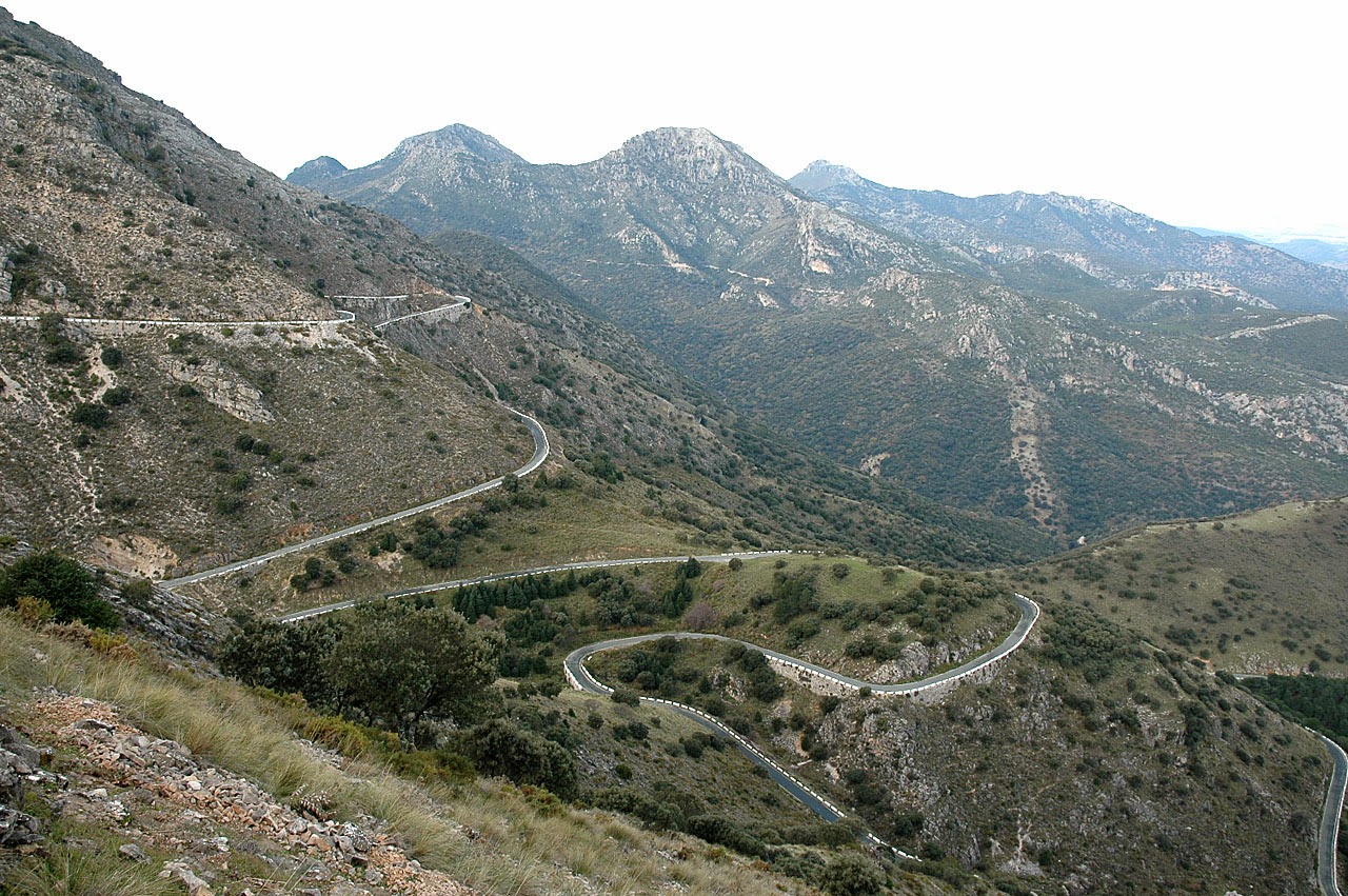 03-Carretera+PPalomas-Pedro+Sanchez.JPG
